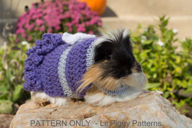 Guinea Pig Pattern Crochet Dress Ruffles Sweater DIGITAL Etsy