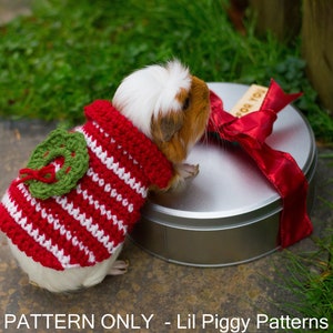 Crochet Pattern Guinea Pig Christmas Sweater with Wreath DIGITAL DOWNLOAD PDF Small Animal Costume Party Cosplay