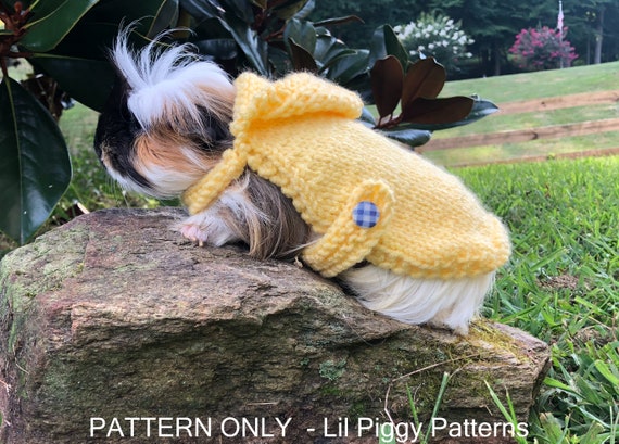 Pattern Print Guinea Pig Women Pullover Hoodie