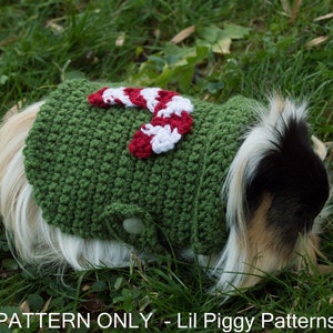Puede incluir: Un suéter de crochet verde con un diseño de bastón de caramelo rojo y blanco para una mascota pequeña. El suéter tiene un cierre de botón y lo lleva puesto un conejillo de indias.