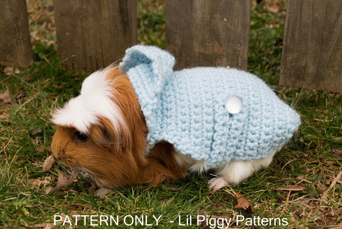 DIGITAL DOWNLOAD PDF Guinea Pig Crochet Pattern Decorative Etsy