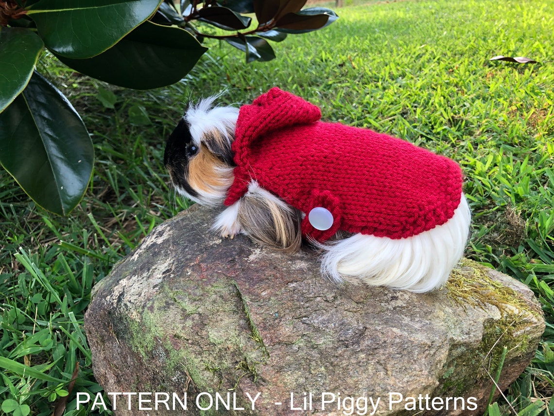 Guinea Pig Pattern Knitted Hoodie PDF Digital Download Etsy