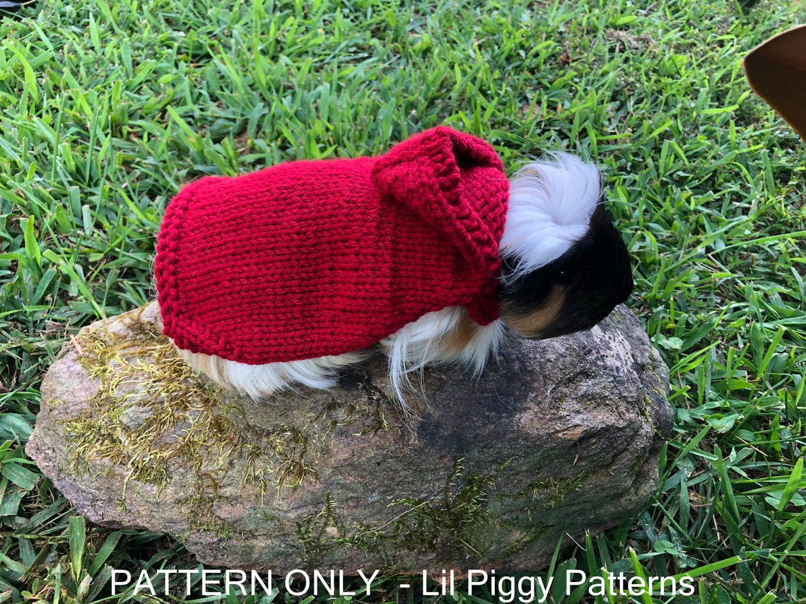 Guinea Pig Pattern Knitted Hoodie PDF Digital Download Etsy