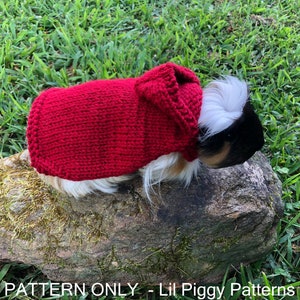 Guinea Pig Pattern Print Women Pullover Hoodie