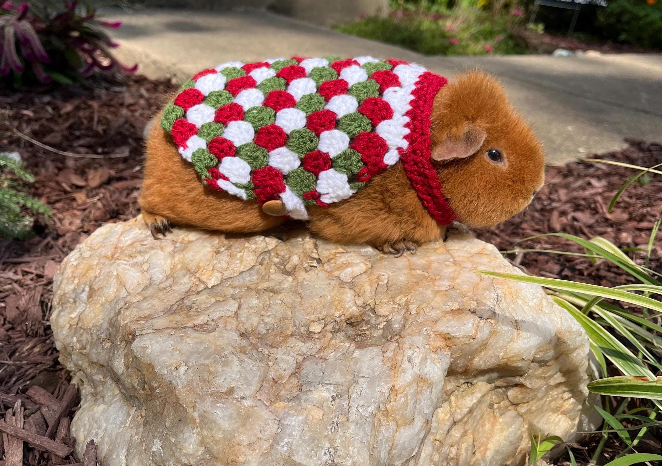 Guinea Pig Christmas Sweater Crochet Pattern