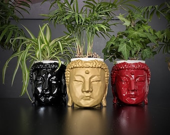 pot cover Buddha flower plant cactus