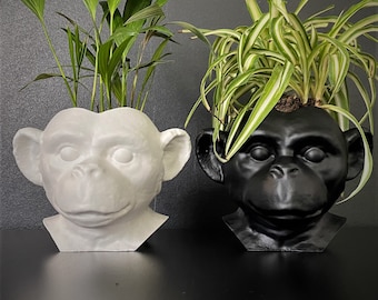 Indoor Monkey pot cover eco-responsible material