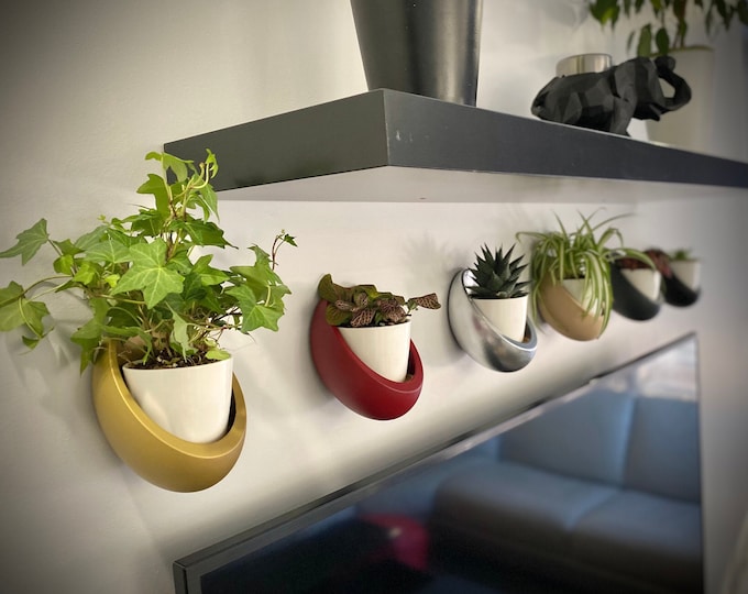 Featured listing image: Wall Planter Kit – Removable Ceramic Pots with Bamboo Drip Trays – No-Drill Wall Plant Holders – Modular Green Wall Décor
