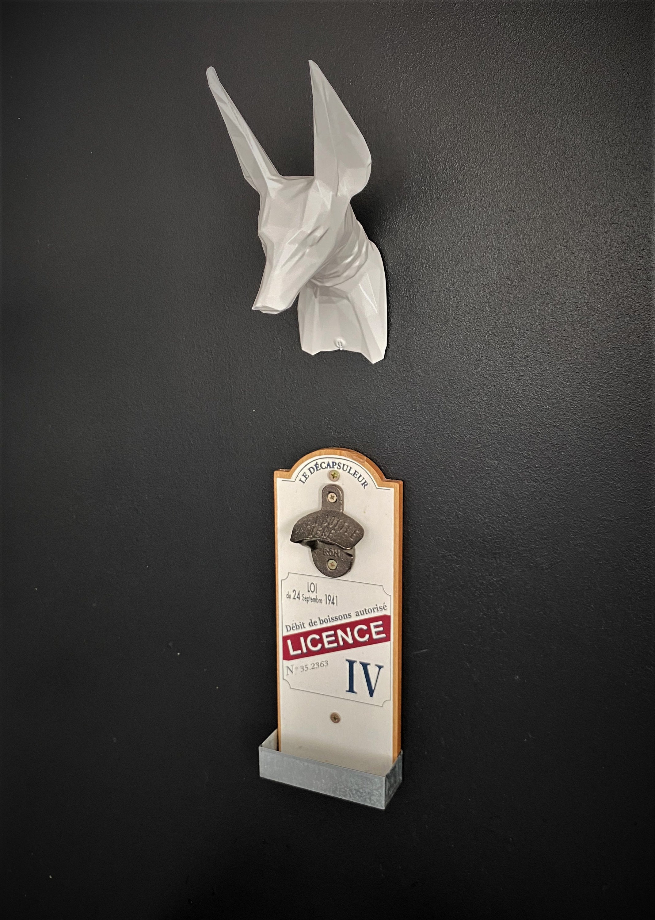 Tête Anubis Murale 3D