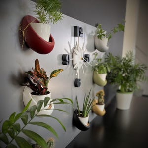 Magnetische plantenpotset voor aan de muur – Aanpasbare plantenpothouders met keramische potten en bamboe schotels – Moderne plantenwanddecoratie