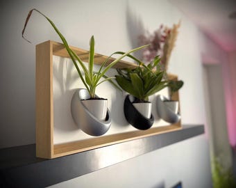 Magnetic Plant Wall wood Frame - Wall Decor with 3 Ceramic Pots - Customizable Plant Holder - Eco-Friendly