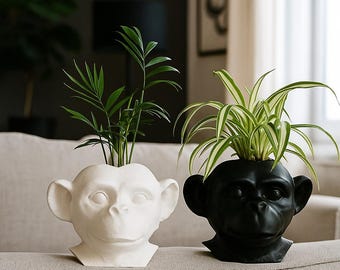 Monkey Head Planter – Ethnic Jungle Décor – Self-watering Pot for