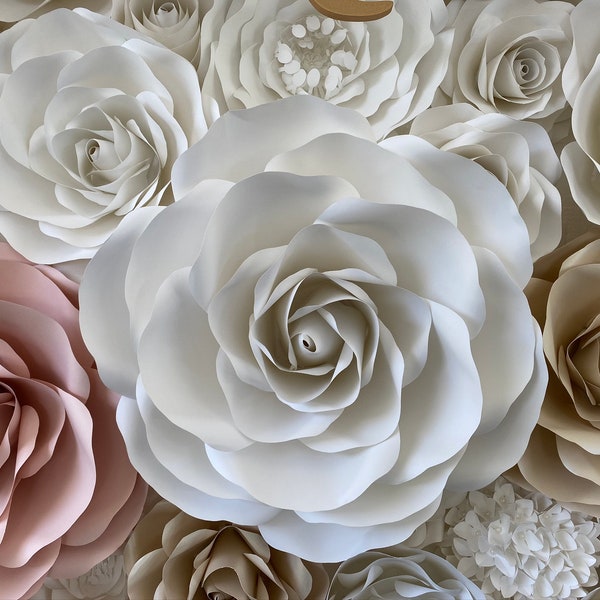 Backdrop Rental Etsy