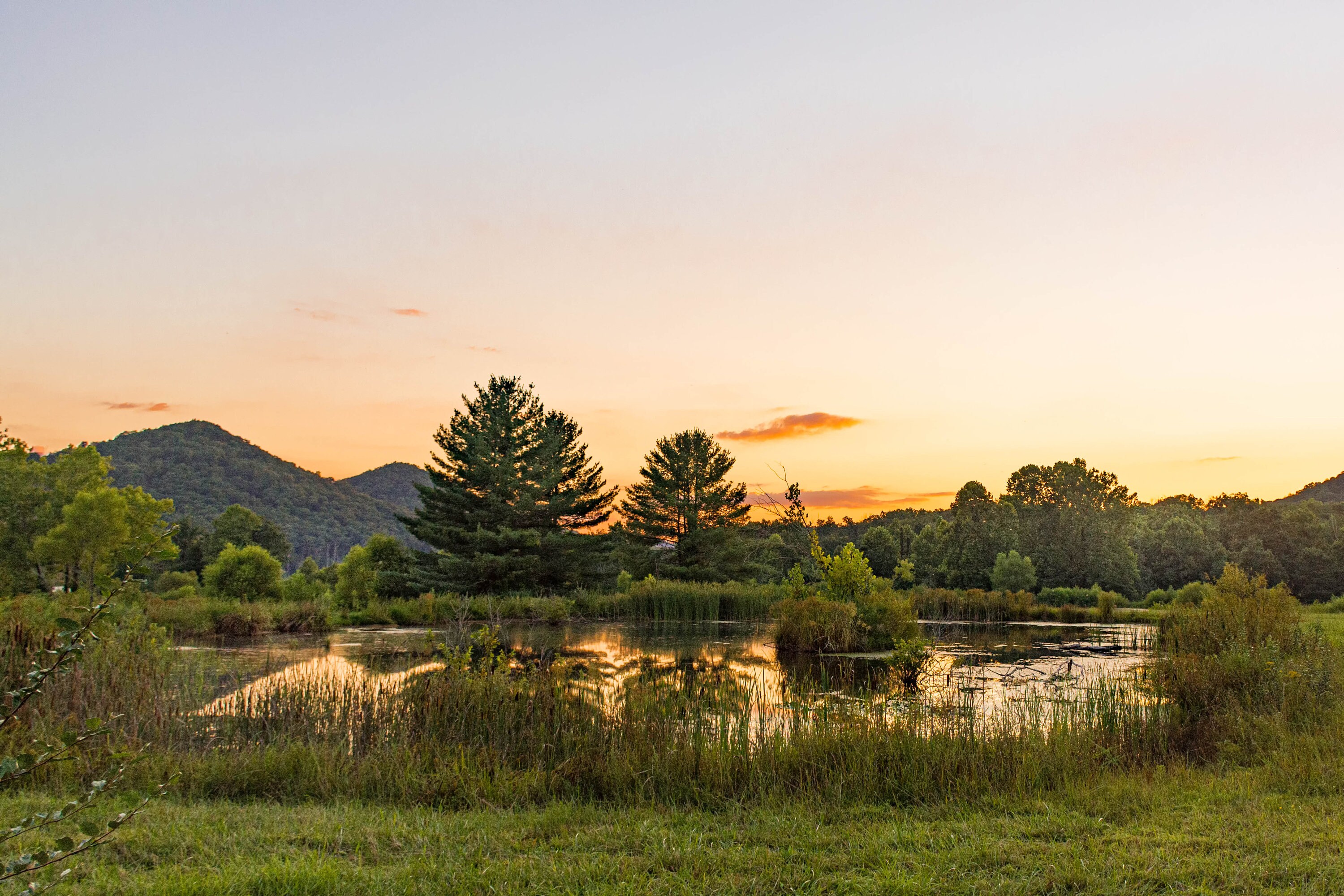 Twin Knobs Campground Etsy