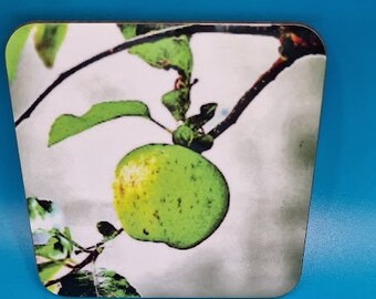Hanging apple printed coaster, apple tree, nature, photographs, stocking filler, gift idea, trees, Cornish gifts, cornwall, small gift ideas