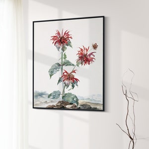 野生の花のアートプリント 植物の花のアート 印刷可能な水彩画の花 即時ダウンロード ヴィンテージ 19 植物のプリント 花柄 印刷可能なアート 11