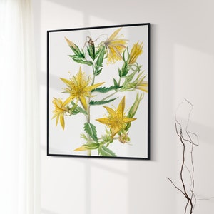 野生の花のアートプリント 植物の花のアート 印刷可能な水彩画の花 即時ダウンロード ヴィンテージ 19 植物のプリント 花柄 印刷可能なアート 18