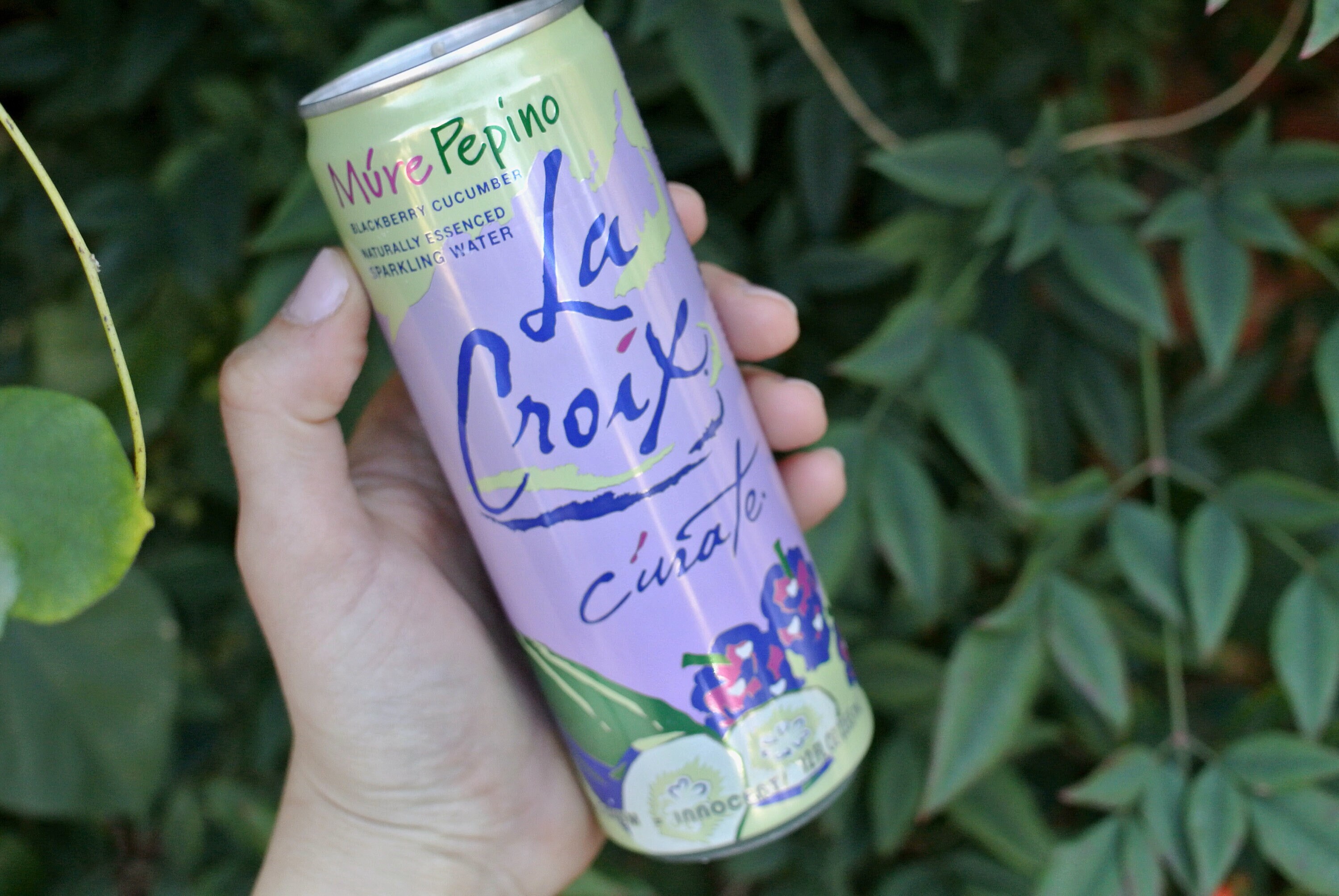 【限定15部】BerryVerrine Pure 007/015キャンバスアート Candle in Upcycled Blackberry Cucumber La Croix Can, Matching