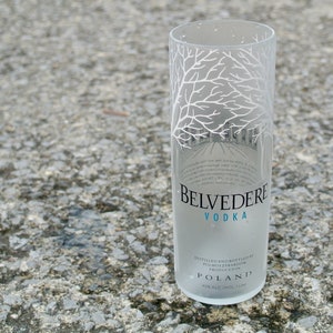 Belvedere Vodka 007 Spectre Frosted Martini Glasses ~~James Bond