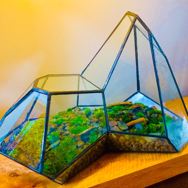 Terrarium Etsy UK