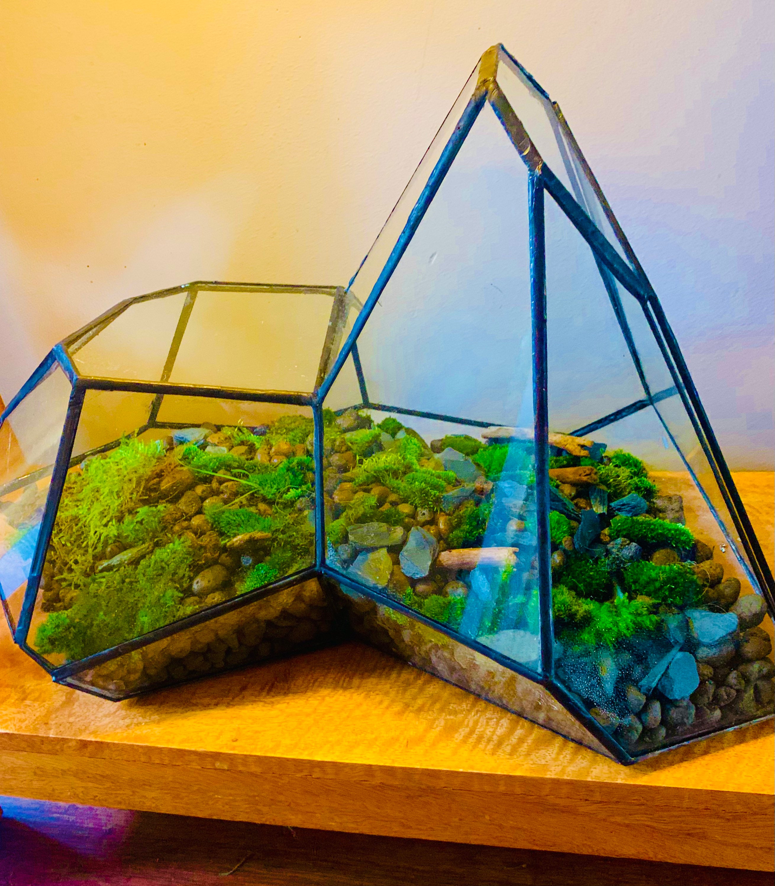 Stained Glass Terrarium Landscape Large Greenhouse Planter Etsy UK
