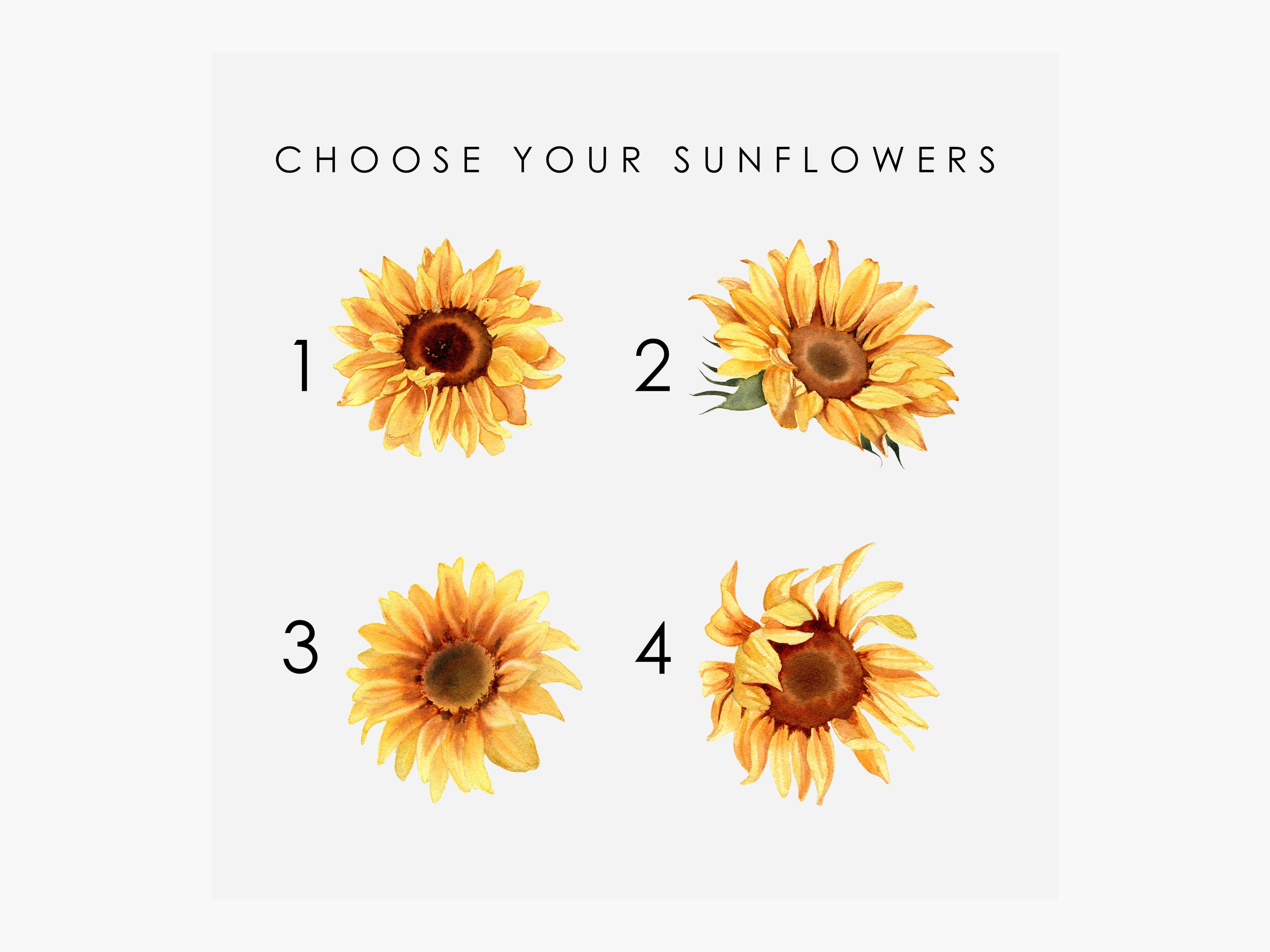 Gepersonaliseerde aquarel zonnebloem print familienaam, bloemen muurkunst -  Etsy België, image size:3000x2250