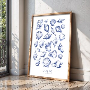 Impresión de conchas vintage / Arte de pared para baño / Decoración con temática oceánica / Arte de pared de playa / Conchiglie / Coquille / Conchas dibujadas a línea / Impresión para baño