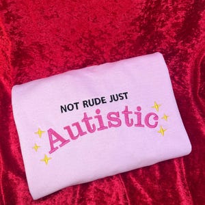 May include: A light pink sweatshirt with the text "NOT RUDE JUST AUTISTIC" in pink lettering and gold glitter stars.