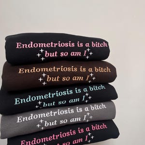 Endometriosis is a B*tch But So Am I Embroidered Sweatshirt - Endometriosis Warrior, Endo Gift image 2