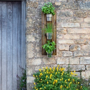 May include: A wooden wall planter with three metal pots, each containing a different type of greenery. The planter is mounted on a brick wall with a yellow flower bush in the foreground.