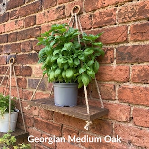 May include: A wooden hanging shelf with a rope and a metal ring. A potted plant is on the shelf. The shelf is mounted on a brick wall. The text "Georgian Medium Oak" is below the shelf.