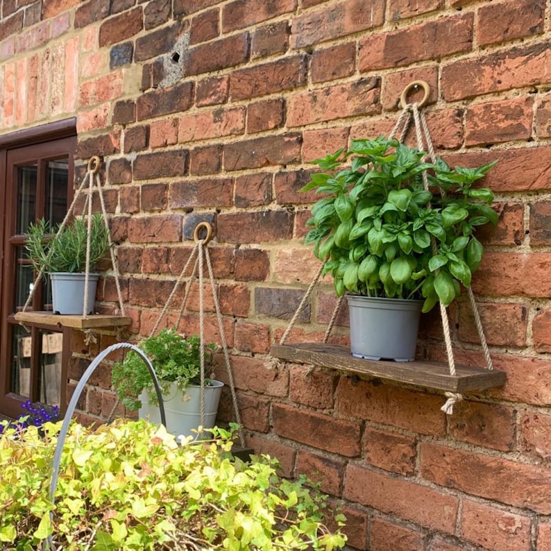 May include: Three wooden shelves with hanging plants. The shelves are mounted on a brick wall. The plants are in gray pots and are hanging from rope.