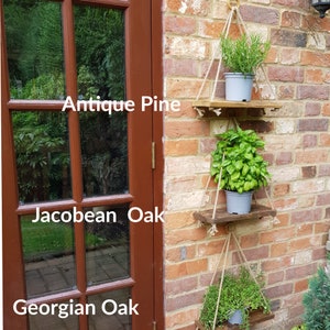 May include: Three hanging wooden shelves with plants in pots. The shelves are made of rustic wood and are hanging from the ceiling with rope. The plants are a variety of herbs, including rosemary, basil, and thyme. The shelves are labeled with the paint colors "Antique Pine", "Jacobean Oak", and "Georgian Oak".