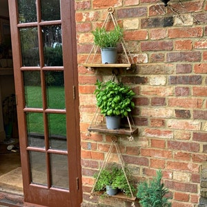 May include: Three wooden shelves with rope hangers, mounted on a brick wall. Each shelf holds a potted plant. The plants are green and leafy.