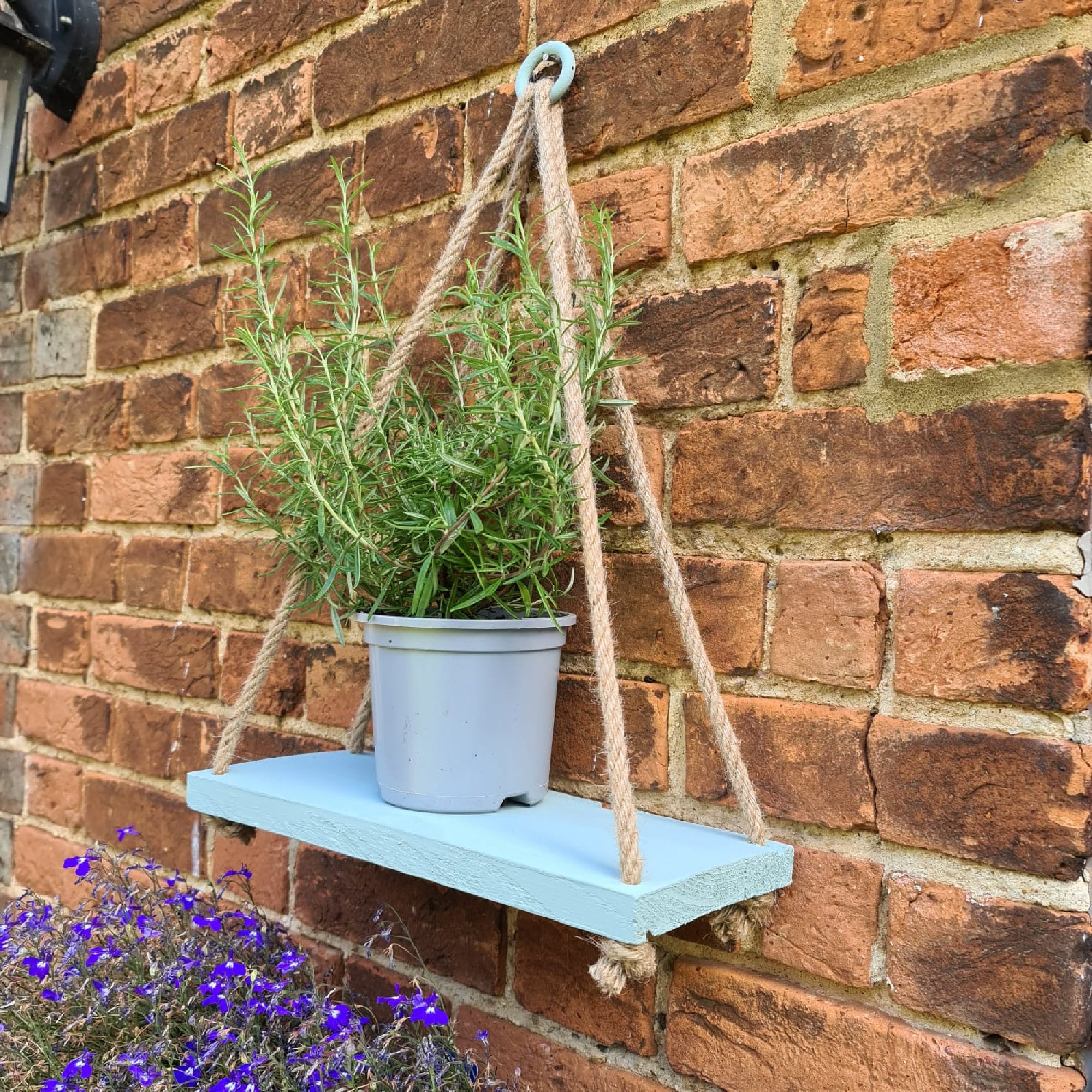 Wood Shelf painted in Green with Rope and painted hanging ring Made in the UK perfect for garden herbs and flowers kitchen or bathroom