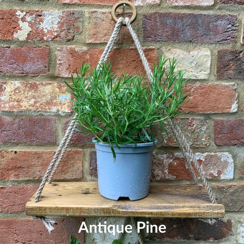 May include: A rustic wooden shelf with a rope hanger, featuring a potted rosemary plant. The shelf is made of reclaimed wood with a natural finish and the text "Antique Pine" is visible below the shelf.