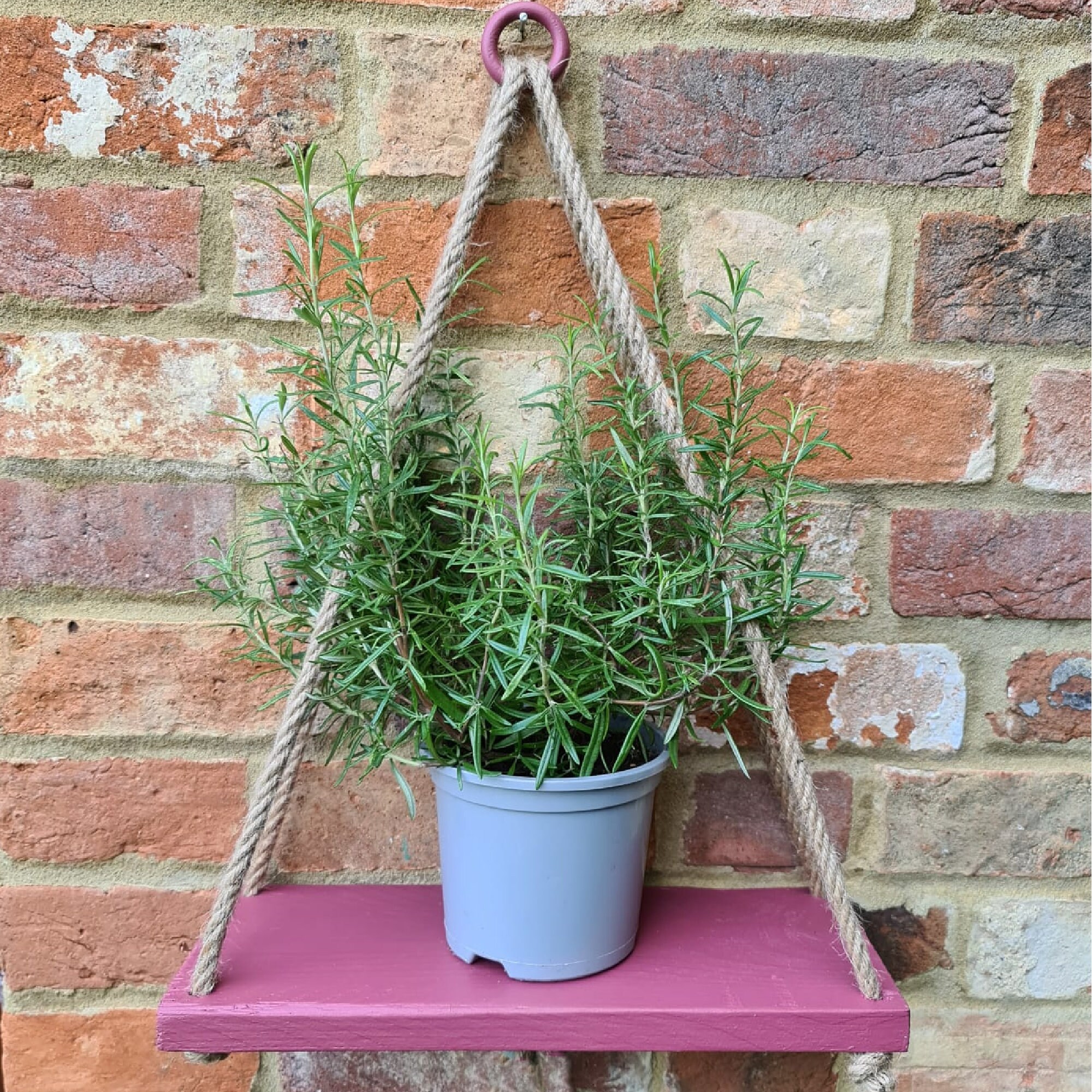 Painted Pink Wooden Hanging Rope Shelf for Garden Home Etsy UK