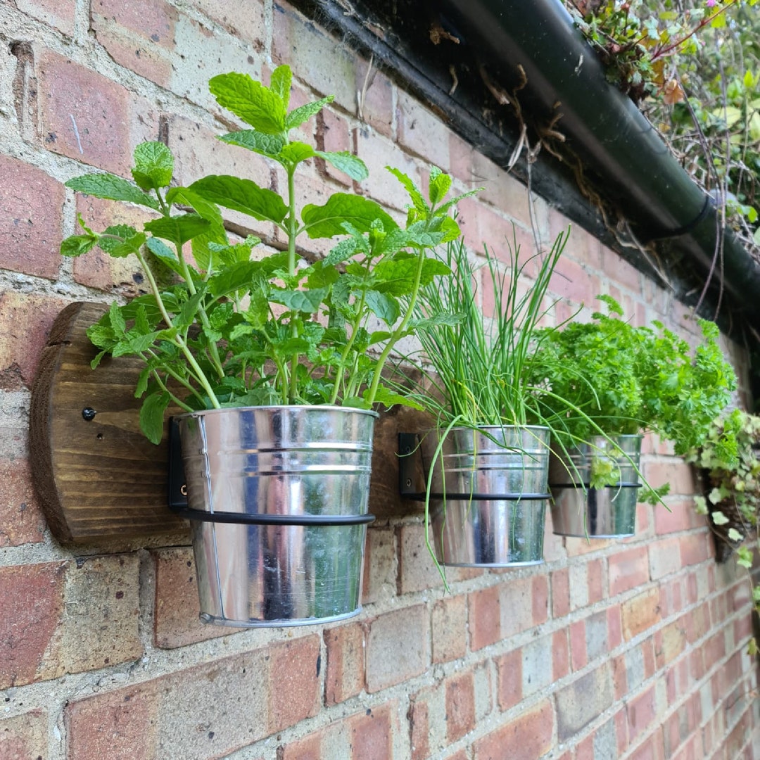 Rustic Herb & Plant Shelf: Handmade Reclaimed Wood With Steel Pots