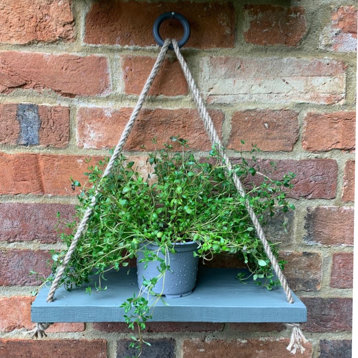 Wooden Hanging Rope Shelves Painted in Pink Blue and Grey Etsy