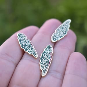 Begonia Plant Enamel Pin  Botanical Pin Elegance Plant Enamel Pin