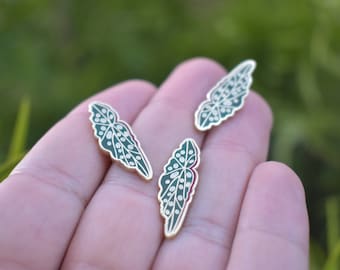 Begonia Plant Enamel Pin  Botanical Pin Elegance | Plant Scouts