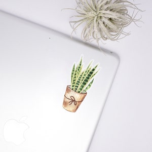 Snake Plant Clear Sticker