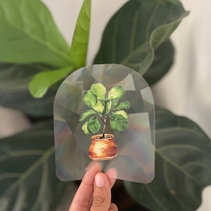 Suncatcher Fiddle Fig - Rainbow Making Suncatcher Sticker
