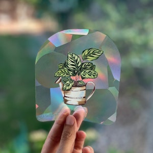 Suncatcher Calathea - Rainbow Making Suncatcher Sticker
