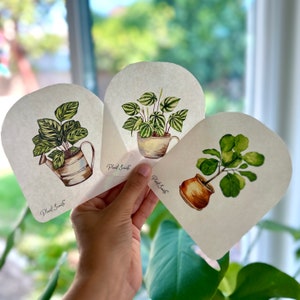 Suncatcher  Set - 3 Beautiful design in Pack