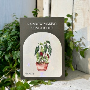 Suncatcher Begonia - Rainbow Making Suncatcher Sticker