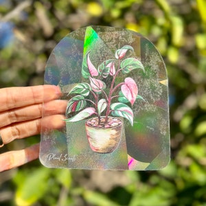 Suncatcher Pink Princess - Rainbow Maker Sticker | Rainbow Making Suncatcher Window Decal | Pink Princess Philodendron Suncatcher Sticker