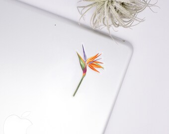 Bird of Paradise Flower Sticker