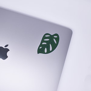 Monstera Sticker - Plant Sticker