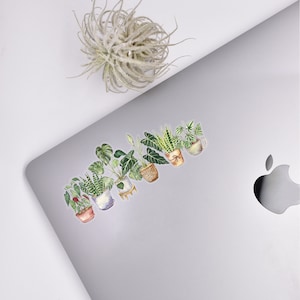 May include: A row of nine potted plants with green leaves and various colored pots, including brown, white, and red, on a silver laptop.